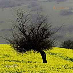 روستای اسطلخ جان، رودبار