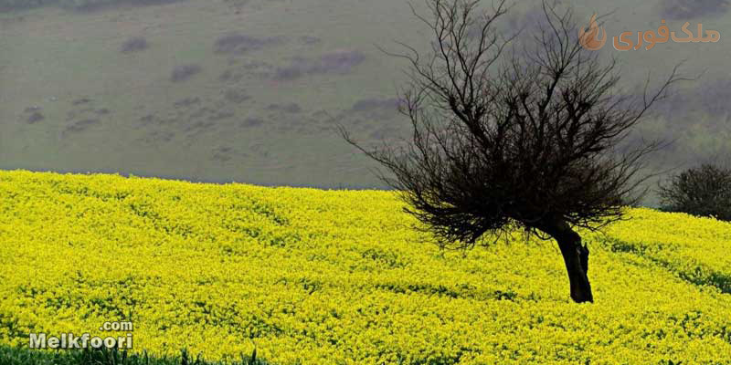 روستا اسطلخ جان رودبار