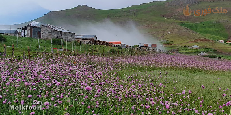 مزایای زندگی در روستا