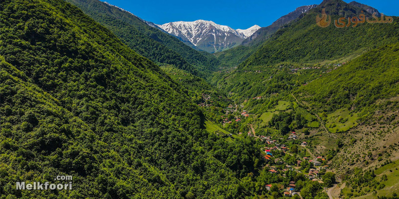 عکس جنگل دوهزار مازندران