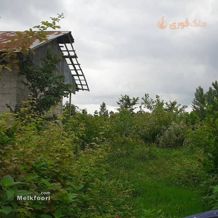 فروش زمین و خانه کلنگی در خشکبیجار 1000 متر