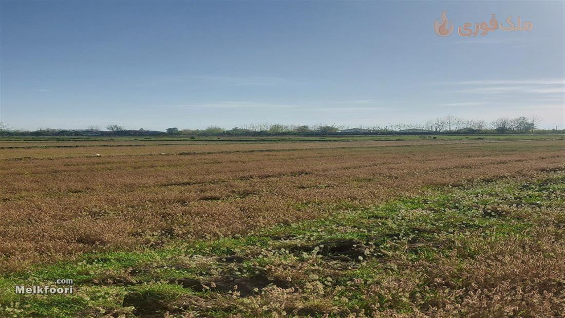 فروش زمین زراعی به متراژ 1000 متر در رودپشت خشکبیجار
