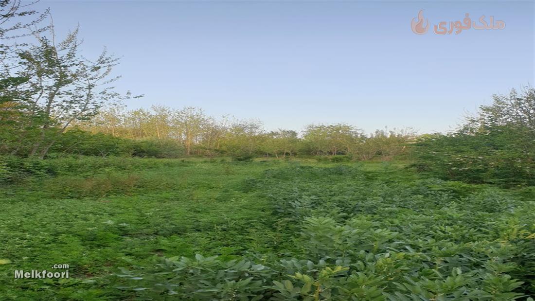 فروش زمین باغی مسکونی به متراژ 1600 متر در لار خشکبیجار