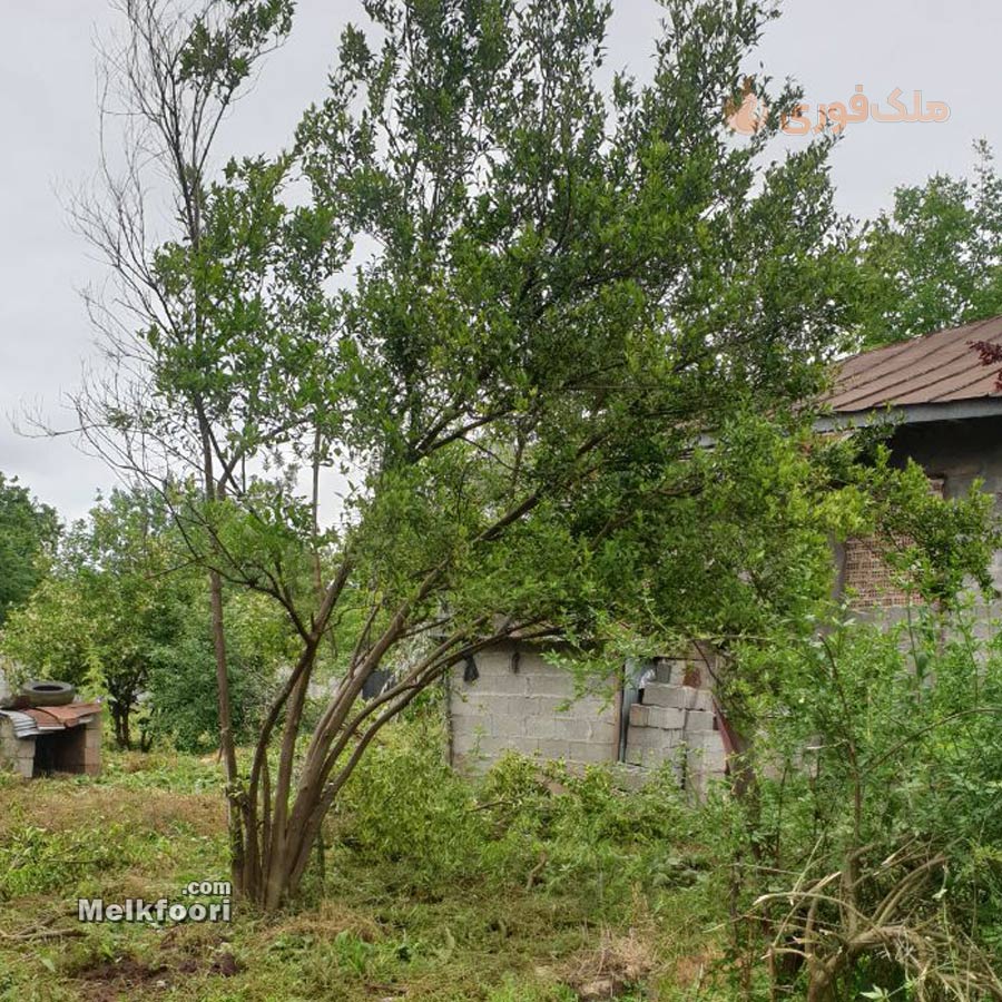 فروش زمین همراه خانه کلنگی 2000 متر در خشکبیجار