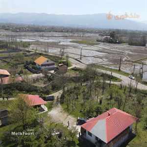 خرید زمین  جنگلی در گیلان با کاربری مسکونی متراژ زمین 500 متر فروش نقدی قیمت کل 3 میلیارد تومان